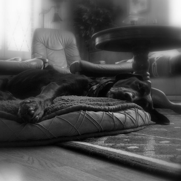 Meet your Posher, Kj - Picture 14 of 14